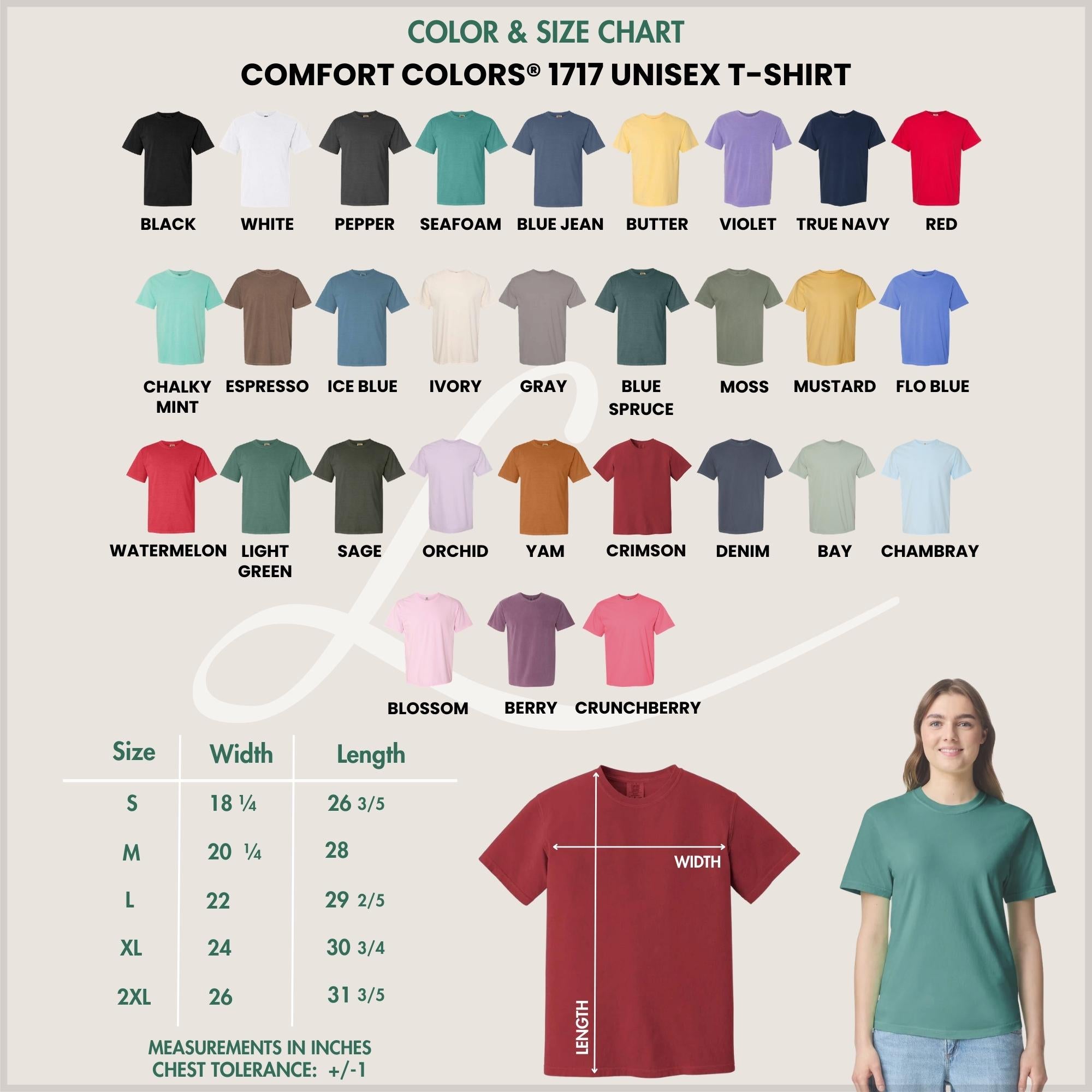 Comfort Colors® Sweet Sixteen Shirt, Retro Blue Sweet Sixteen Shirt, Sweet 16 Gifts For Girls, 16th Birthday Shirt, 2010 Birthday Gift
